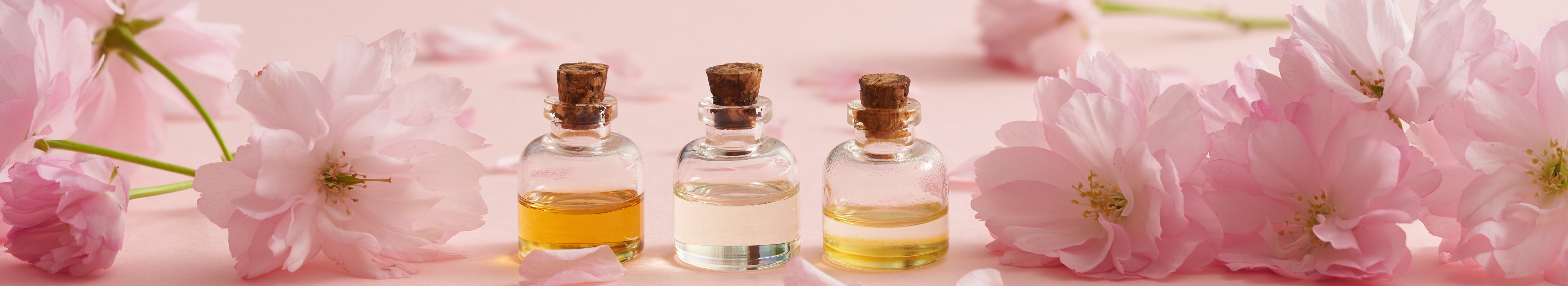 Soins du Visage Cinq Mondes